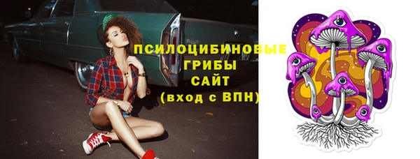амф Няндома