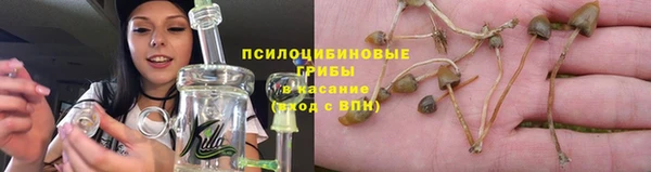 амф Няндома