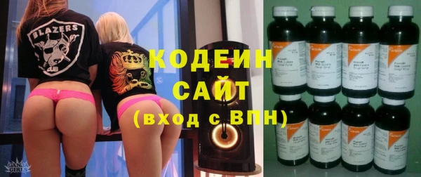 амф Няндома